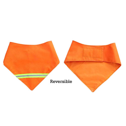 Black Dog Farm - Reflective Orange Bandana