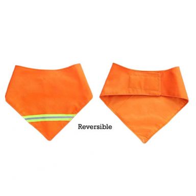 Black Dog Farm - Reflective Orange Bandana