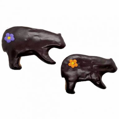 Spring NH Black Bears