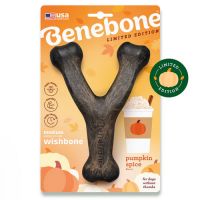 Fall Treats & Toys for Dogs & Cats