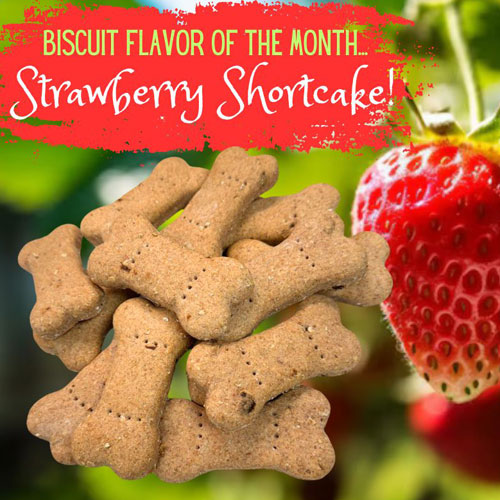 New Biscuit of the Month - Strawberry Shortcake!