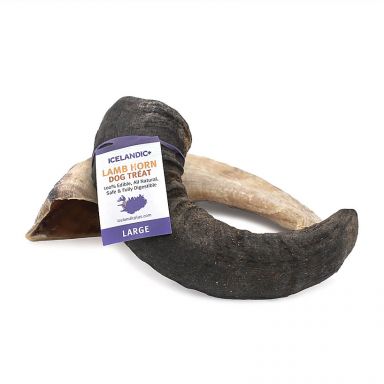 Icelandic+ Lamb Horn - Med/Large