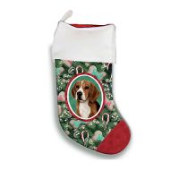 Breed Stockings
