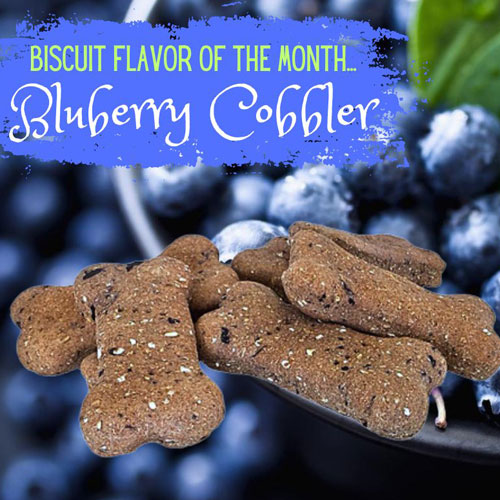 Biscuit Flavor of the Month - Blueberry Cobbler