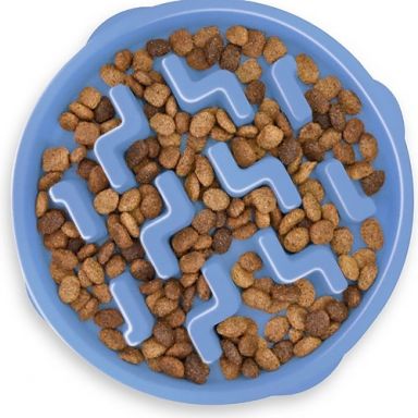 Outward Hound - Non-Skid Plastic Slow Feeder Interactive Dog Bowl - Blue