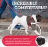 Harness Lead - Reflective - Orange