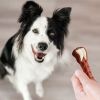 WHIMZEES® - Brushzees® All Natural Daily Dental Chew for Dogs