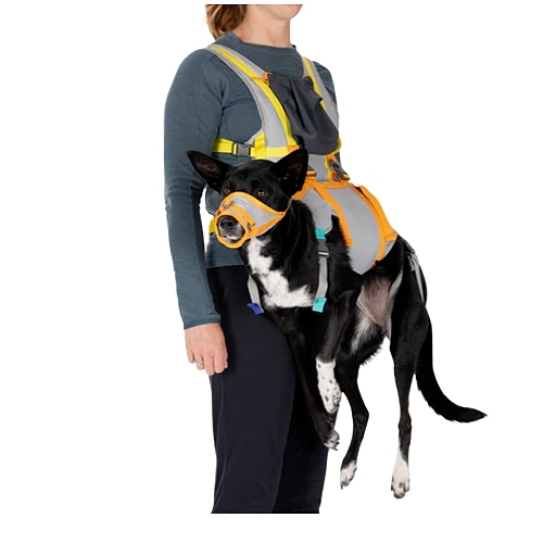 Evacuation Kit Emergency Dog Carrying Harness Fido Pro Airlift Dog