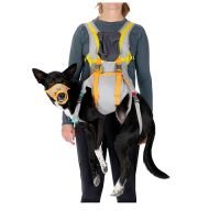 Hiking Gear, Backpacks,, & Harnesses