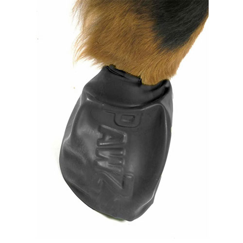 pawz dog boots large