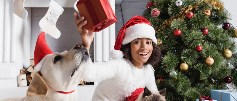 Shop  Holiday Gifts For Pet Lovers