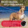 Harness Lead - Reflective - Orange