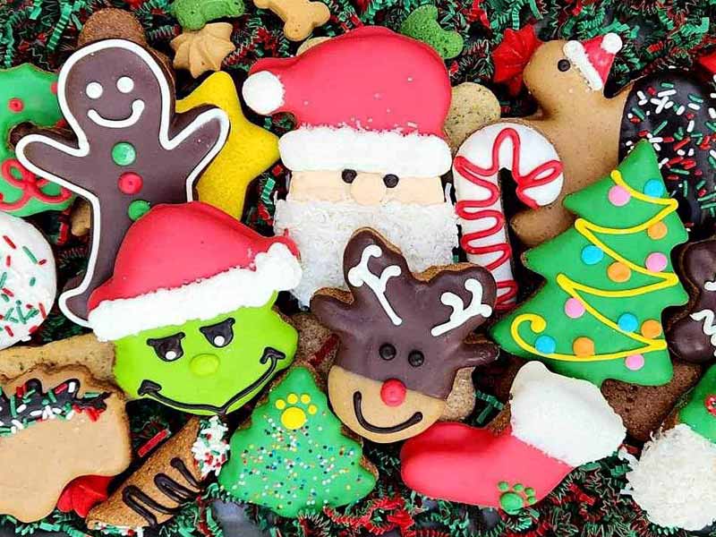Shop Our Instore Pet Bakery
