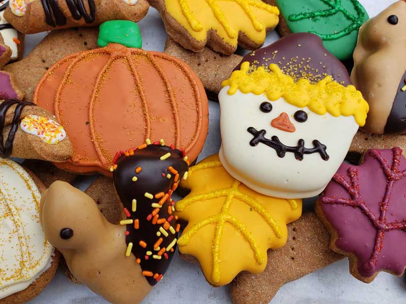 Shop Our Instore Pet Bakery