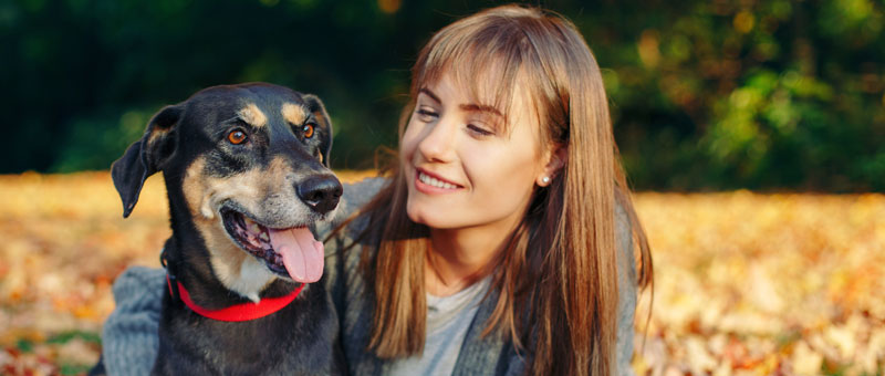 Shop Gifts For Pet Lovers