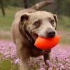 RuffDawg Football - Lifetime Guarantee!