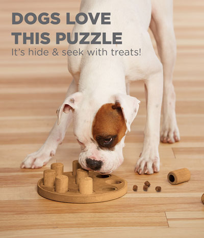 Outward Hound Dog Puzzle Smart, Level 1