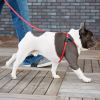 Harness Lead - Reflective - Orange