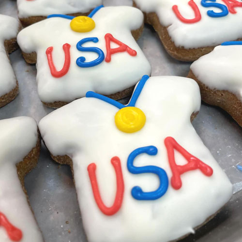 Special Edition - Team USA Gold Medal Hockey Jersey - for a limited time only!