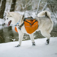 Outdoor Gear, Safety Gear & Travel