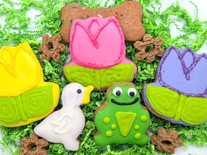 Shop Our Pet Bakery