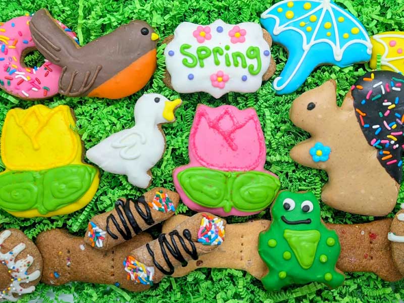 Shop Our Pet Bakery