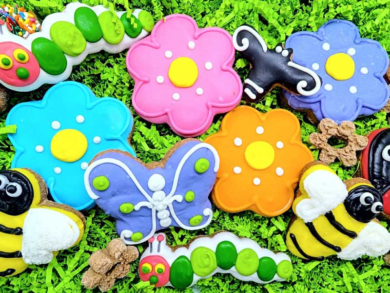 Shop Our Pet Bakery