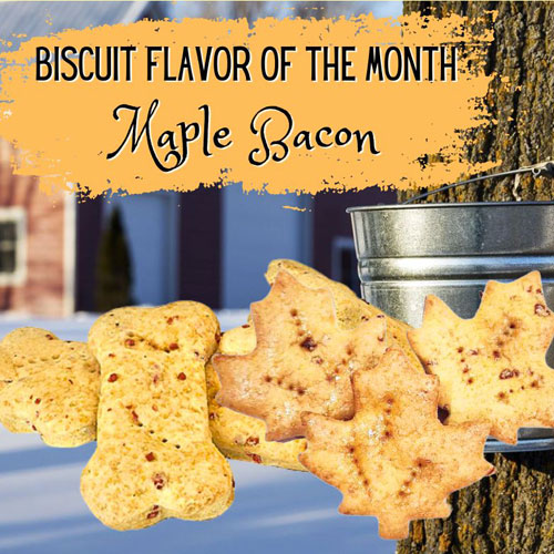 Biscuit Flavor of the Month - Maple Bacon Biscuits