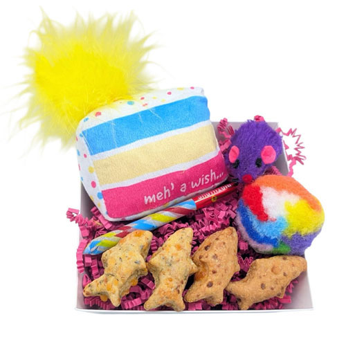 New! Cat Celebration Box!