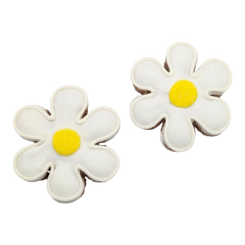 NEW! Daisy