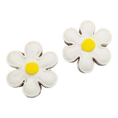 NEW! Daisy