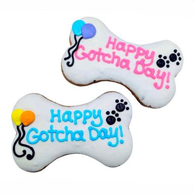 Jumbo Happy Gotcha Day Bone