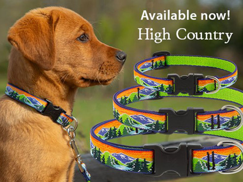 Shop Lupine Collars & Harnesses For Dogs