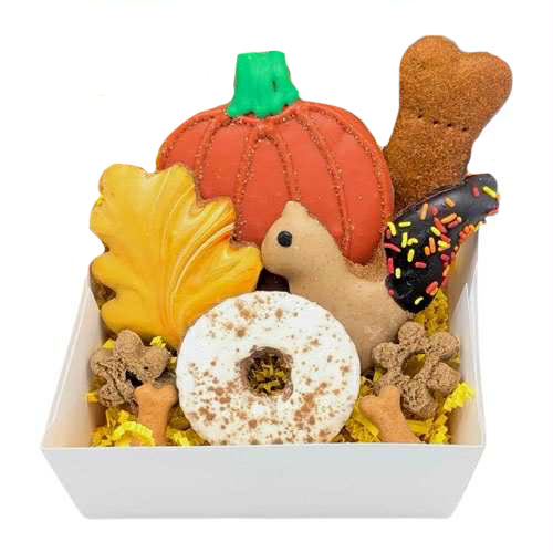 Autumn Sampler