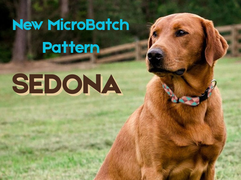 Shop Lupine Collars & Harnesses For Dogs