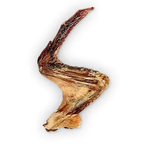 New! The Rabbit Tap - Duck Wing