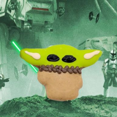 Yoda - May the 4th Be With You - Limited quantities!