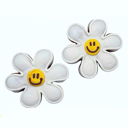 NEW! Happy Daisy