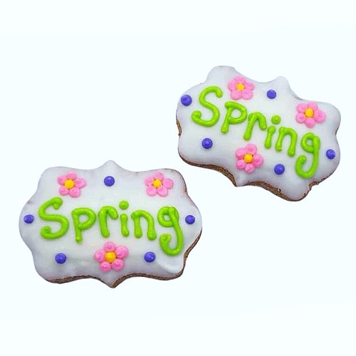 Spring Cookie