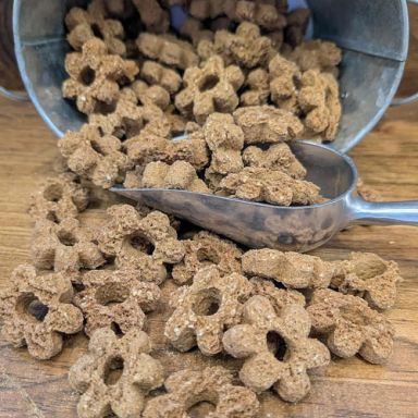 K9 Granola - Pumpkin Crunchers - Philly Cheesesteak