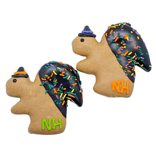 NEW! Jumbo Witchy Squirrels