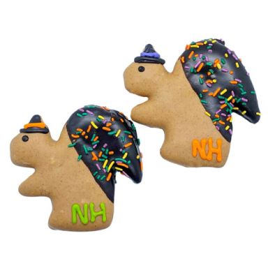 NEW! Jumbo Witchy Squirrels