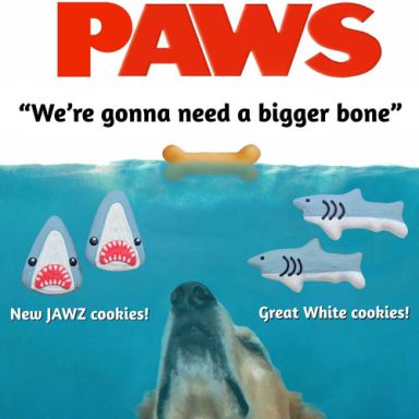 Bark Week - 4 pack special!