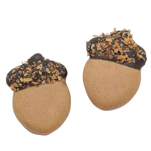 NEW! Toasted Coconut Acorns