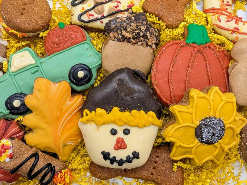 Shop Our Pet Bakery