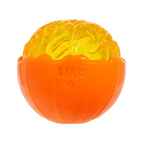 BARK - Pumpkin Prodigy