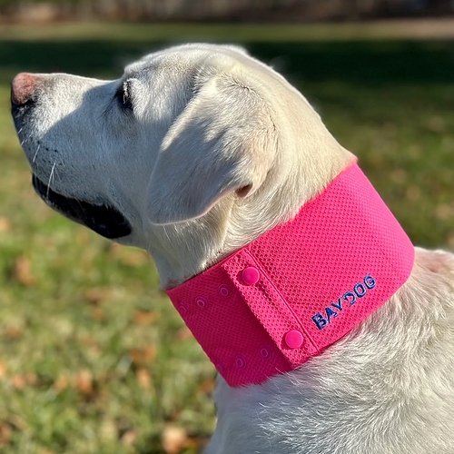 Bay Dog - Cooling Collar - Sunset Pink
