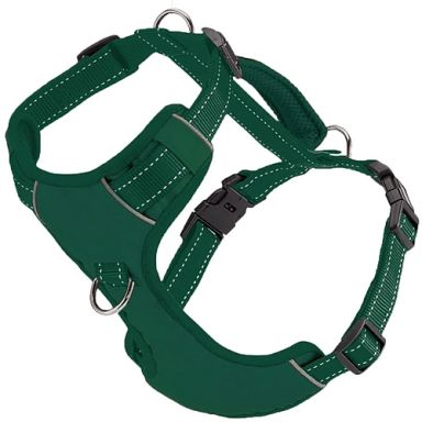 BayDog Chesapeake Bay  Harness - Forest Green
