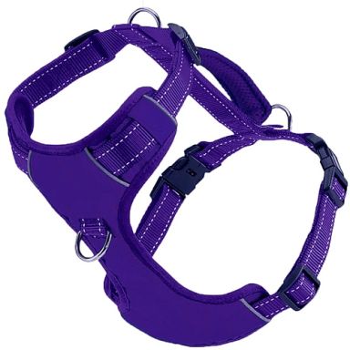 BayDog - Chesapeake Bay Harness - Purple Rain