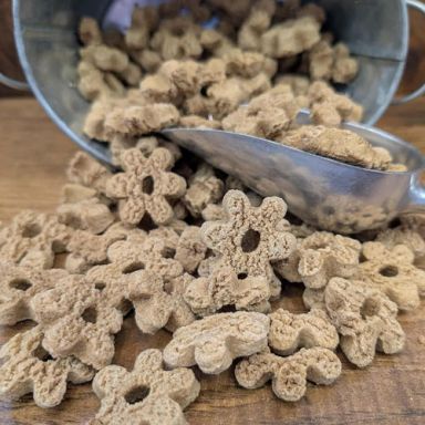 K9 Granola - Pumpkin Crunchers - Lean Beanz